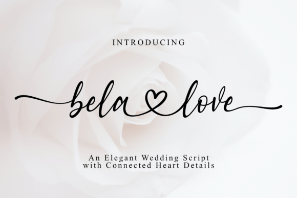 Bela Love Font: Elevating Editorial Design