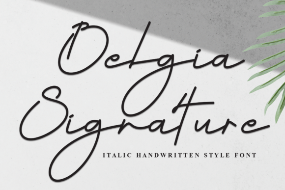 Belgia Signature: A Designer’s Practical Review