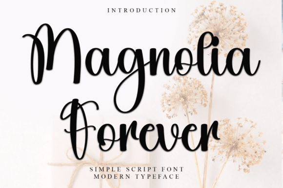Magnolia Forever Font: Elevating Campaign Visuals